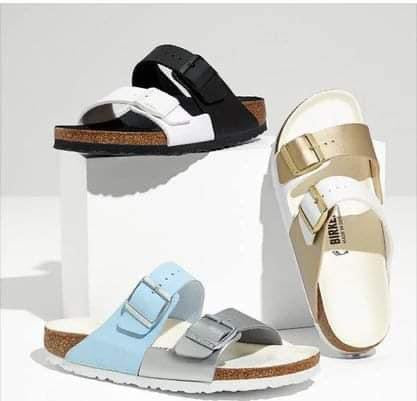 Birk Slides